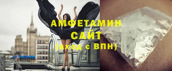 шишки Абаза