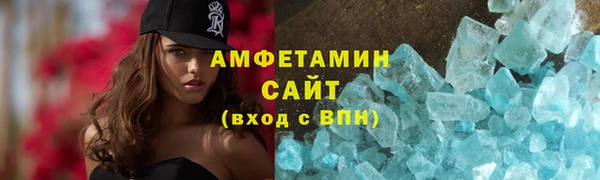 шишки Абаза