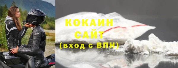 шишки Абаза
