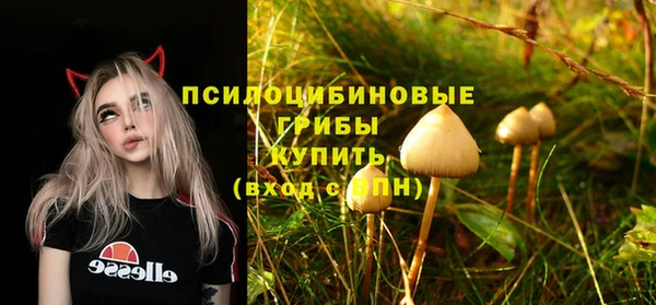 мет Абинск