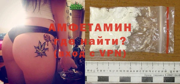 шишки Абаза