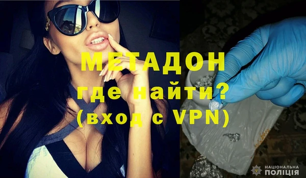 шишки Абаза