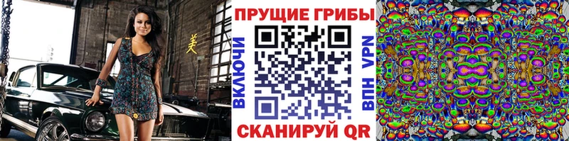 где купить наркоту Екатеринбург Псилоцибиновые грибы прущие грибы